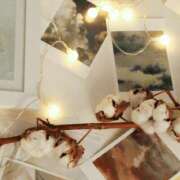 ヒメ日記 2025/02/16 09:26 投稿 八木香苗 ローテンブルク