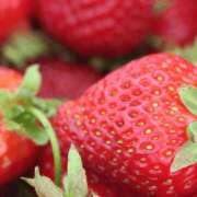 ヒメ日記 2025/02/16 10:45 投稿 八木香苗 ローテンブルク