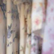 ヒメ日記 2025/02/18 07:30 投稿 八木香苗 ローテンブルク