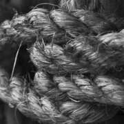 ヒメ日記 2025/02/18 19:42 投稿 八木香苗 ローテンブルク