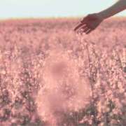 ヒメ日記 2025/02/20 18:57 投稿 八木香苗 ローテンブルク