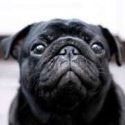 ヒメ日記 2025/03/03 00:30 投稿 八木香苗 ローテンブルク