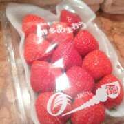 ヒメ日記 2025/03/03 00:45 投稿 八木香苗 ローテンブルク