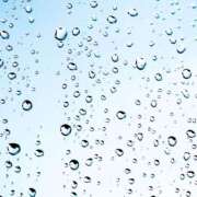 ヒメ日記 2025/03/05 11:45 投稿 八木香苗 ローテンブルク