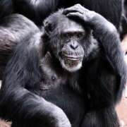 ヒメ日記 2025/03/07 18:30 投稿 八木香苗 ローテンブルク