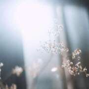 ヒメ日記 2025/03/09 15:02 投稿 八木香苗 ローテンブルク