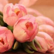 ヒメ日記 2025/04/08 11:06 投稿 八木香苗 ローテンブルク