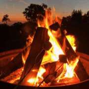 ヒメ日記 2025/04/20 08:33 投稿 八木香苗 ローテンブルク