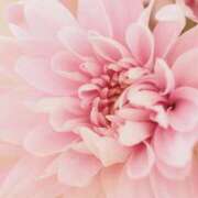 ヒメ日記 2025/05/16 08:17 投稿 八木香苗 ローテンブルク