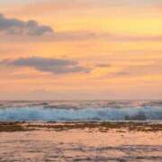 ヒメ日記 2025/05/20 10:58 投稿 八木香苗 ローテンブルク