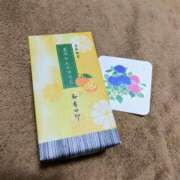 ヒメ日記 2025/05/24 13:14 投稿 八木香苗 ローテンブルク