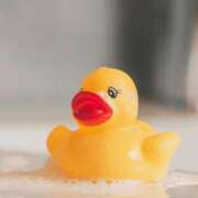 ヒメ日記 2025/05/30 10:28 投稿 八木香苗 ローテンブルク