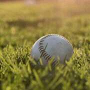 ヒメ日記 2025/06/03 10:24 投稿 八木香苗 ローテンブルク