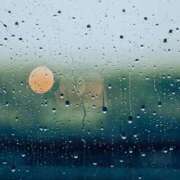 ヒメ日記 2025/06/11 06:30 投稿 八木香苗 ローテンブルク