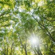 ヒメ日記 2025/06/16 07:00 投稿 八木香苗 ローテンブルク