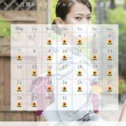 ヒメ日記 2025/07/03 06:15 投稿 八木香苗 ローテンブルク