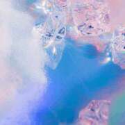 ヒメ日記 2025/07/14 06:00 投稿 八木香苗 ローテンブルク