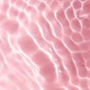 ヒメ日記 2025/08/03 06:00 投稿 八木香苗 ローテンブルク