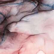 ヒメ日記 2025/08/15 06:00 投稿 八木香苗 ローテンブルク