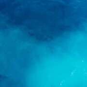 ヒメ日記 2025/08/29 06:15 投稿 八木香苗 ローテンブルク