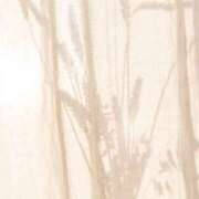 ヒメ日記 2025/09/07 06:15 投稿 八木香苗 ローテンブルク