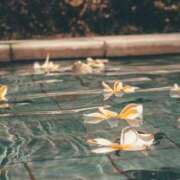 ヒメ日記 2025/09/11 06:00 投稿 八木香苗 ローテンブルク