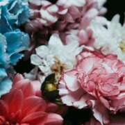 ヒメ日記 2025/09/13 06:00 投稿 八木香苗 ローテンブルク