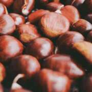 ヒメ日記 2025/09/18 06:00 投稿 八木香苗 ローテンブルク