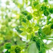 ヒメ日記 2025/09/24 05:15 投稿 八木香苗 ローテンブルク