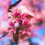 ヒメ日記 2025/10/23 06:00 投稿 八木香苗 ローテンブルク