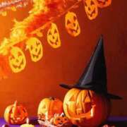 ヒメ日記 2025/10/29 06:00 投稿 八木香苗 ローテンブルク