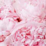 ヒメ日記 2025/11/07 11:30 投稿 八木香苗 ローテンブルク