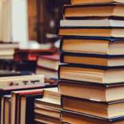 ヒメ日記 2025/11/24 14:30 投稿 八木香苗 ローテンブルク