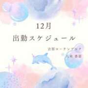 ヒメ日記 2025/11/28 07:00 投稿 八木香苗 ローテンブルク