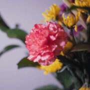 ヒメ日記 2026/01/05 07:28 投稿 八木香苗 ローテンブルク