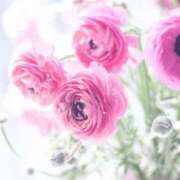 ヒメ日記 2026/01/17 19:30 投稿 八木香苗 ローテンブルク