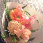 ヒメ日記 2026/01/25 05:00 投稿 八木香苗 ローテンブルク