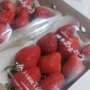 ヒメ日記 2026/02/02 09:30 投稿 八木香苗 ローテンブルク