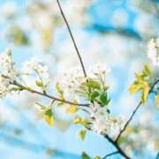 ヒメ日記 2026/02/04 10:50 投稿 八木香苗 ローテンブルク