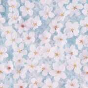 ヒメ日記 2026/02/21 06:00 投稿 八木香苗 ローテンブルク