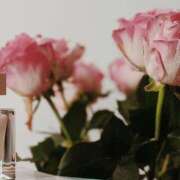 ヒメ日記 2026/02/22 06:00 投稿 八木香苗 ローテンブルク