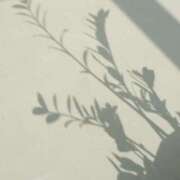 ヒメ日記 2026/02/23 13:31 投稿 八木香苗 ローテンブルク