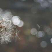 ヒメ日記 2026/03/02 05:30 投稿 八木香苗 ローテンブルク