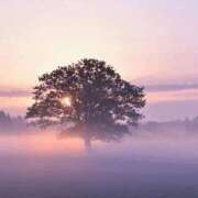 ヒメ日記 2026/03/04 05:00 投稿 八木香苗 ローテンブルク