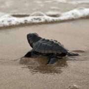 ヒメ日記 2026/03/06 05:00 投稿 八木香苗 ローテンブルク