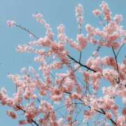 ヒメ日記 2026/03/06 13:02 投稿 八木香苗 ローテンブルク