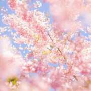 ヒメ日記 2026/03/09 17:16 投稿 八木香苗 ローテンブルク