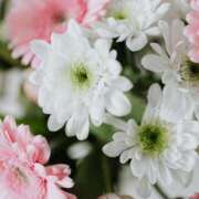 ヒメ日記 2026/04/21 14:12 投稿 八木香苗 ローテンブルク