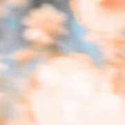 ヒメ日記 2026/05/05 06:00 投稿 八木香苗 ローテンブルク