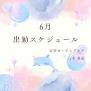 ヒメ日記 2026/05/13 15:15 投稿 八木香苗 ローテンブルク